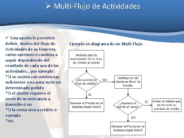 Ø Multi-Flujo de Actividades ü Esta opción le permitirá definir, dentro del Flujo de Ø Multi-Flujo de Actividades ü Esta opción le permitirá definir, dentro del Flujo de