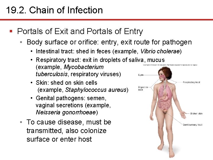 19. 2. Chain of Infection § Portals of Exit and Portals of Entry •