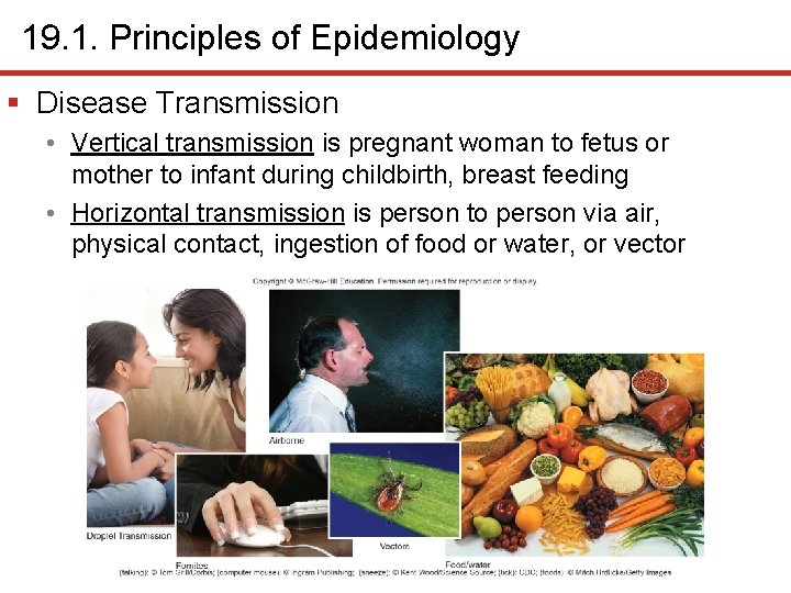 19. 1. Principles of Epidemiology § Disease Transmission • Vertical transmission is pregnant woman