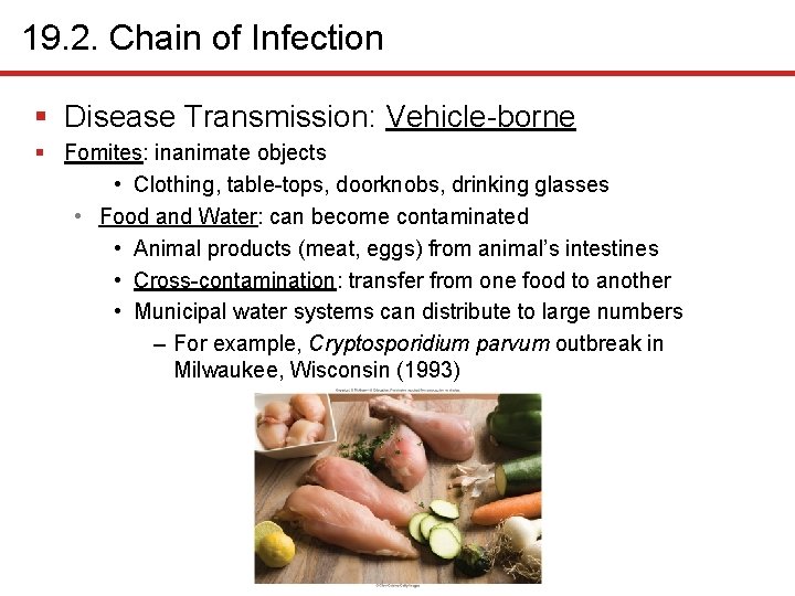 19. 2. Chain of Infection § Disease Transmission: Vehicle-borne § Fomites: inanimate objects •