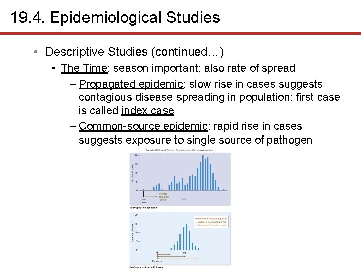 19. 4. Epidemiological Studies • Descriptive Studies (continued…) • The Time: season important; also