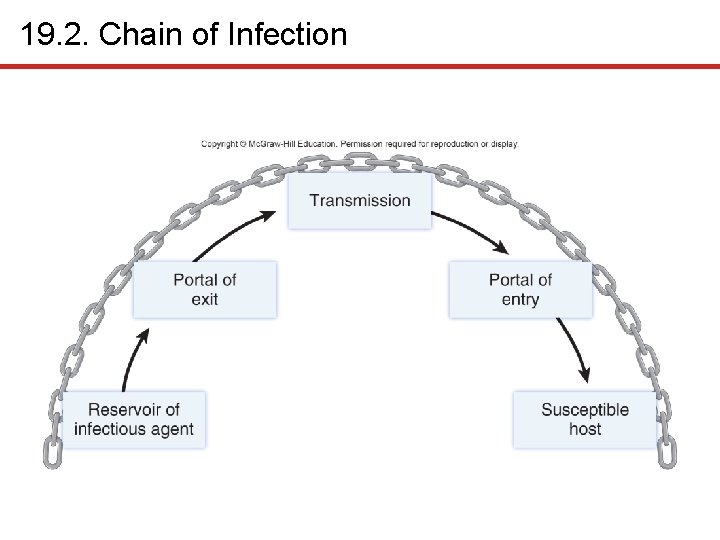 19. 2. Chain of Infection 