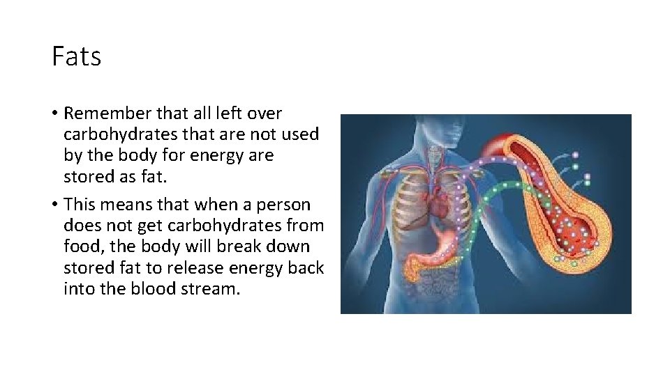 Fats • Remember that all left over carbohydrates that are not used by the