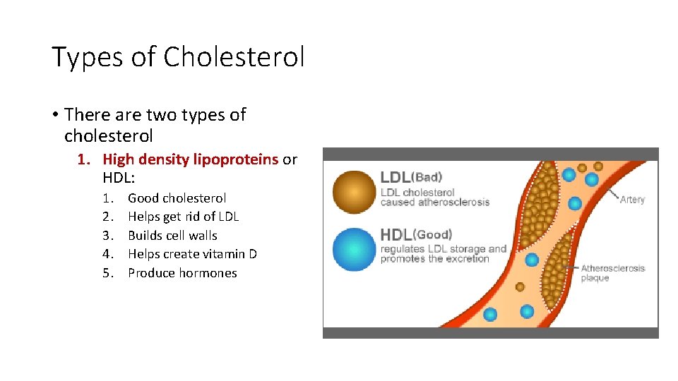 Types of Cholesterol • There are two types of cholesterol 1. High density lipoproteins