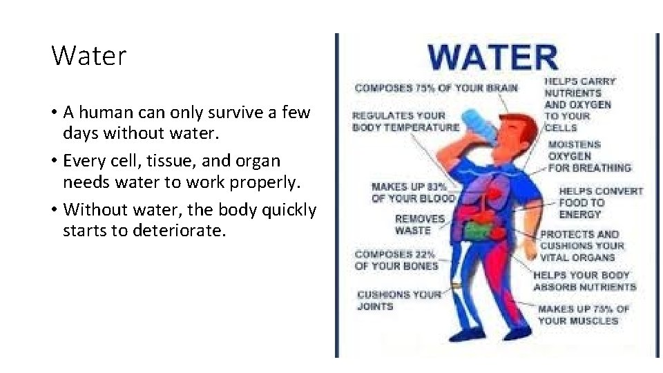 Water • A human can only survive a few days without water. • Every