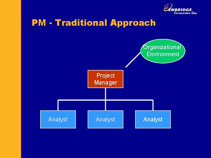 PM - Traditional Approach Organizational Environment Project Manager Analyst 