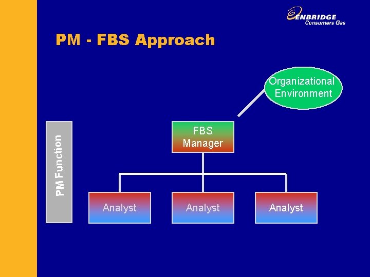 PM - FBS Approach Organizational Environment PM Function FBS Manager Analyst 