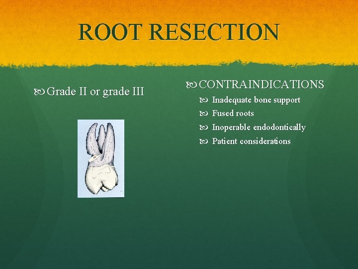 ROOT RESECTION Grade II or grade III CONTRAINDICATIONS Inadequate bone support Fused roots Inoperable