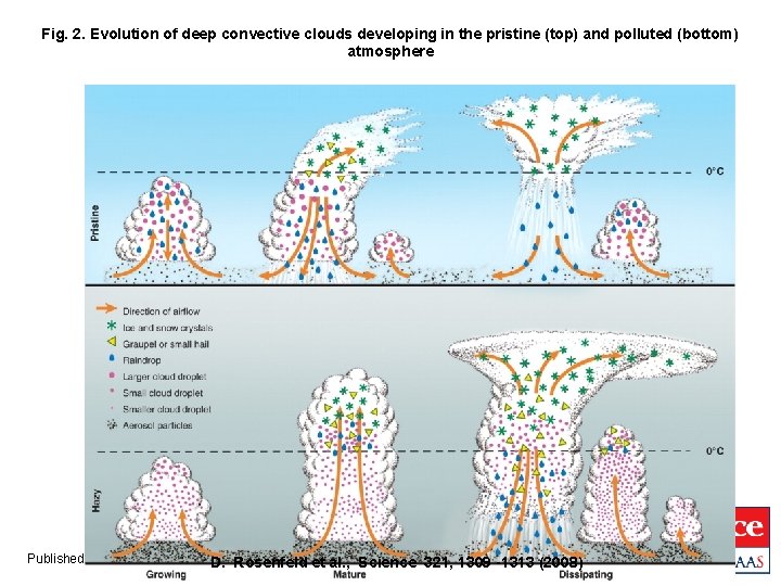 Fig. 2. Evolution of deep convective clouds developing in the pristine (top) and polluted