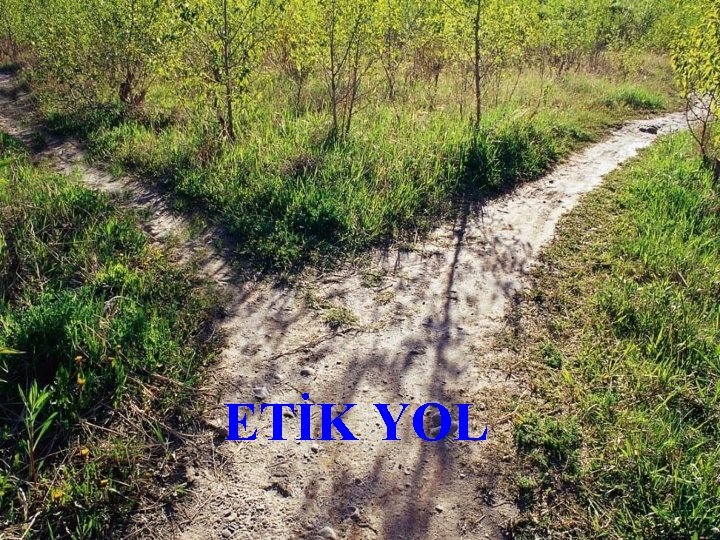 ETİK YOL 