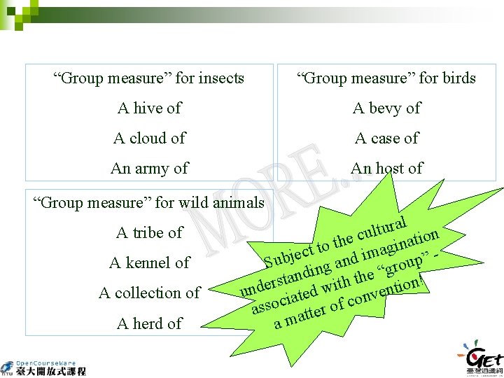 “Group measure” for insects “Group measure” for birds A hive of A bevy of