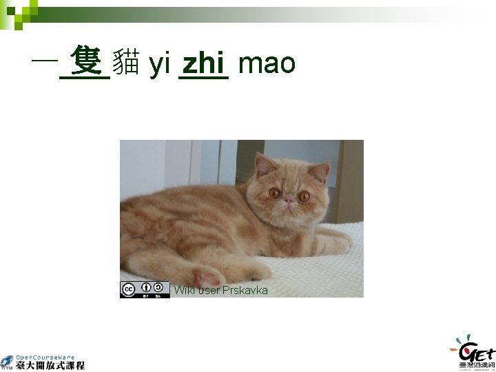 隻 一___貓 yi ___ zhi mao Wiki user Prskavka 