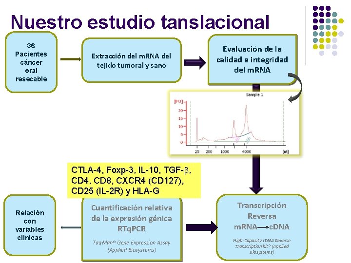 Nuestro estudio tanslacional 36 Pacientes cáncer oral resecable Extracción del m. RNA del tejido