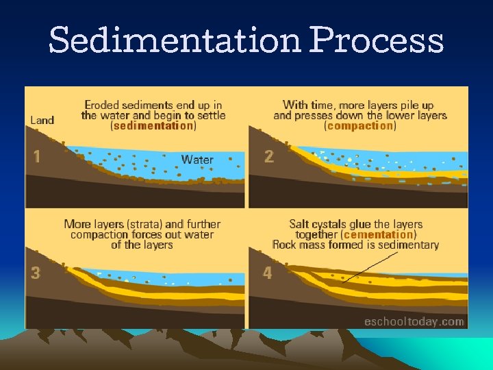 Sedimentation Process 