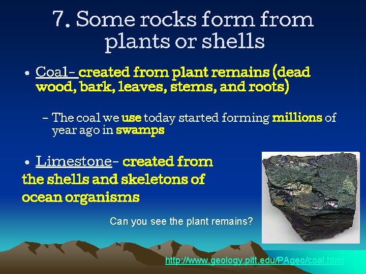 7. Some rocks form from plants or shells • Coal- created from plant remains