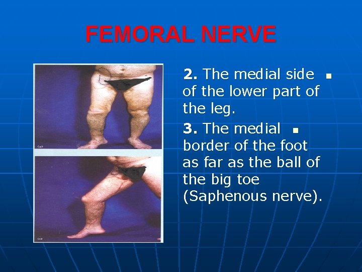 FEMORAL NERVE 2. The medial side n of the lower part of the leg.