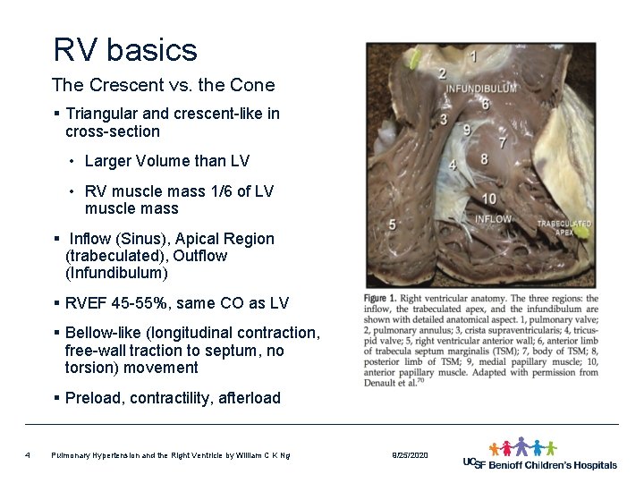 RV basics The Crescent vs. the Cone § Triangular and crescent-like in cross-section •