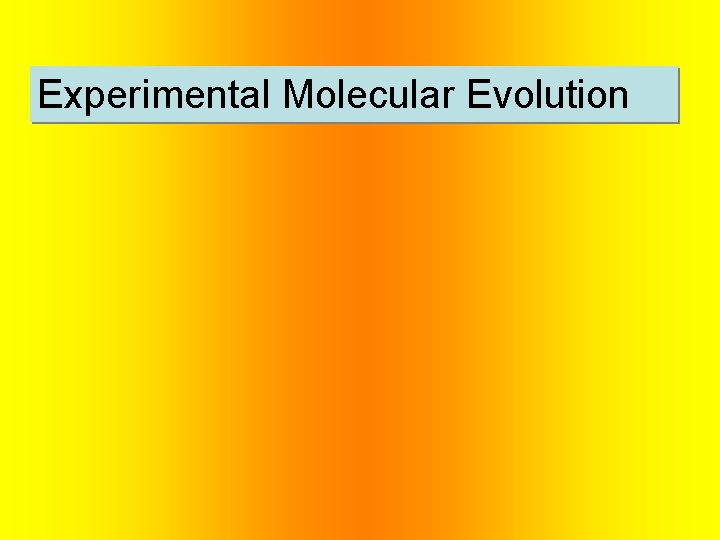 Experimental Molecular Evolution 