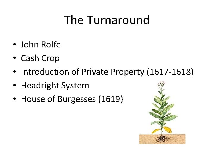 The Turnaround • • • John Rolfe Cash Crop Introduction of Private Property (1617