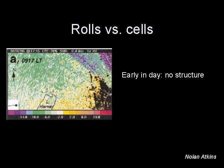 Rolls vs. cells Early in day: no structure Nolan Atkins 