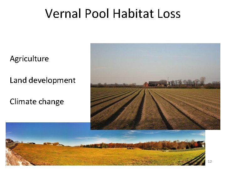 Vernal Pool Habitat Loss Agriculture Land development Climate change 12 