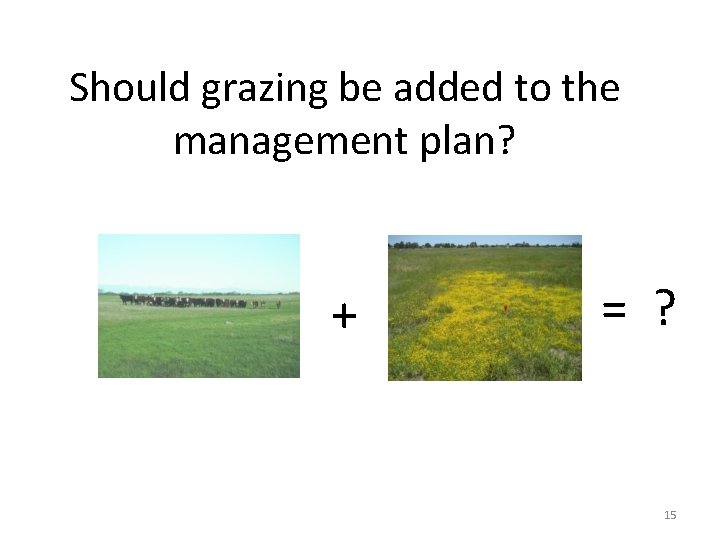 Should grazing be added to the management plan? + = ? 15 