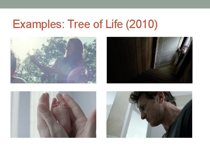 Examples: Tree of Life (2010) 