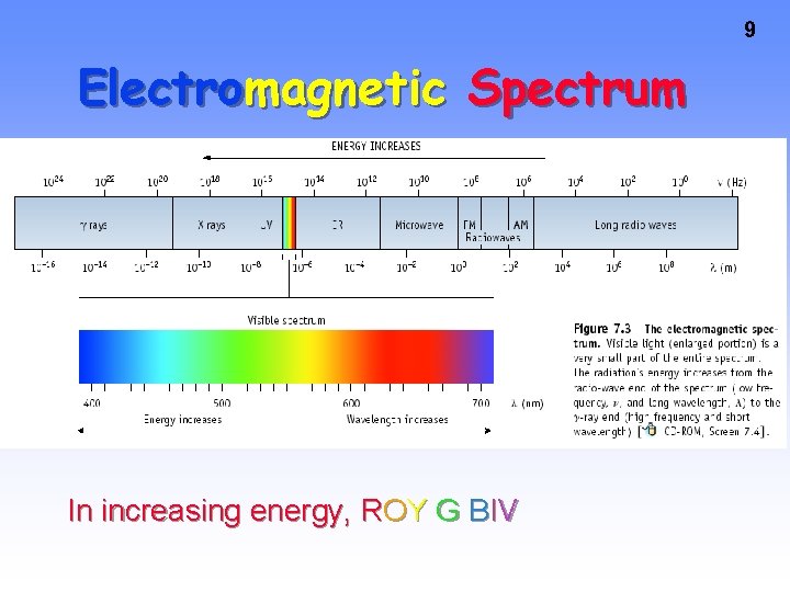 9 Electromagnetic Spectrum In increasing energy, ROY G BIV 