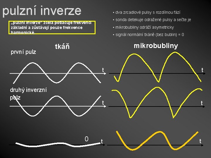 pulzní inverze • dva zrcadlové pulsy s rozdílnou fází • sonda detekuje odražené pulsy