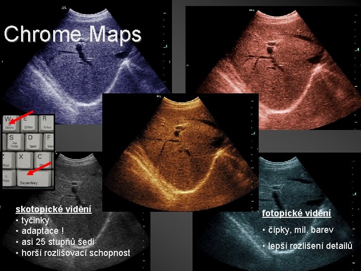 Chrome Maps skotopické vidění • tyčinky • adaptace ! • asi 25 stupňů šedi