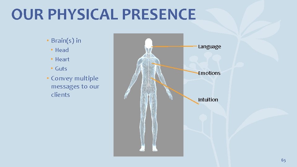 OUR PHYSICAL PRESENCE • Brain(s) in • Head • Heart • Guts • Convey