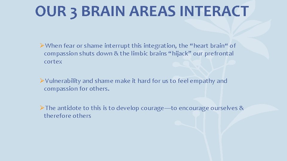 OUR 3 BRAIN AREAS INTERACT ØWhen fear or shame interrupt this integration, the “heart