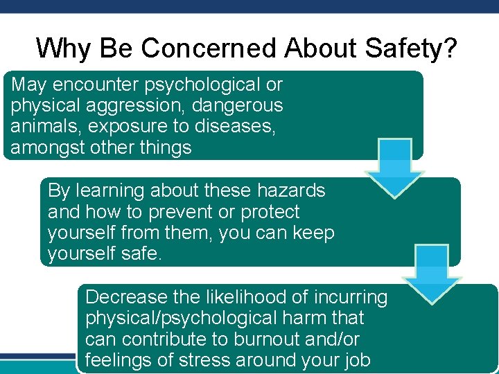 Why Be Concerned About Safety? May encounter psychological or physical aggression, dangerous animals, exposure