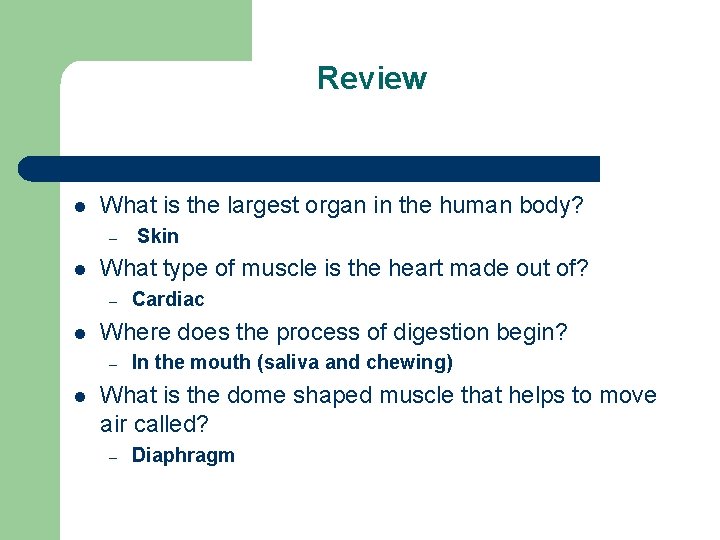 Review l What is the largest organ in the human body? – l What