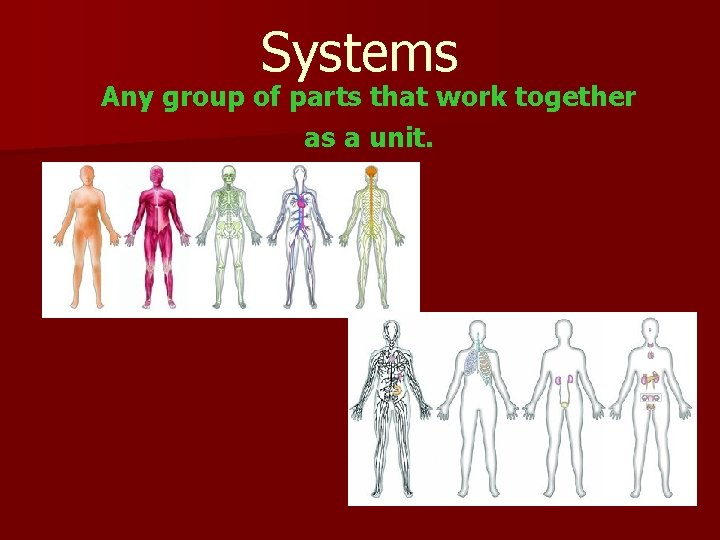 Systems Any group of parts that work together as a unit. 