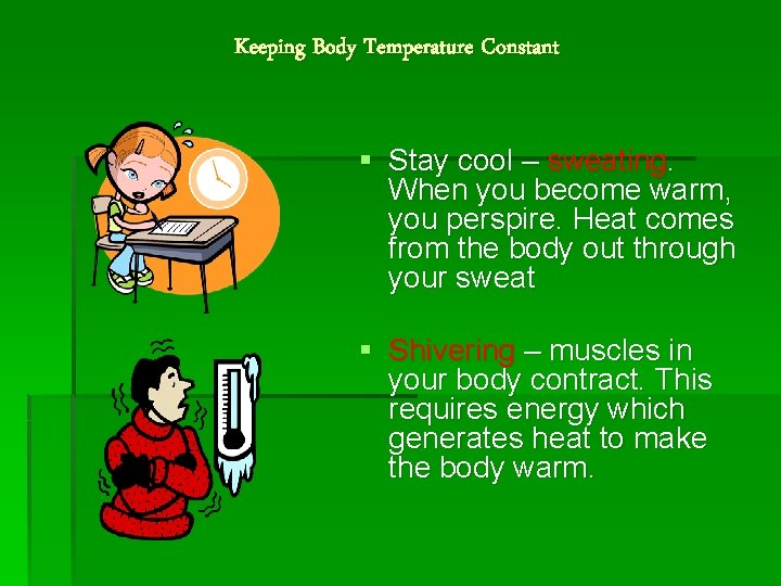 Keeping Body Temperature Constant § Stay cool – sweating. When you become warm, you