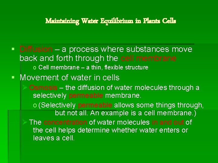 Maintaining Water Equilibrium in Plants Cells § Diffusion – a process where substances move