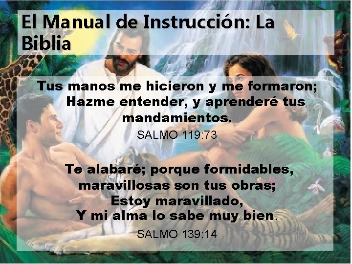 El Manual de Instrucción: La Biblia Tus manos me hicieron y me formaron; Hazme