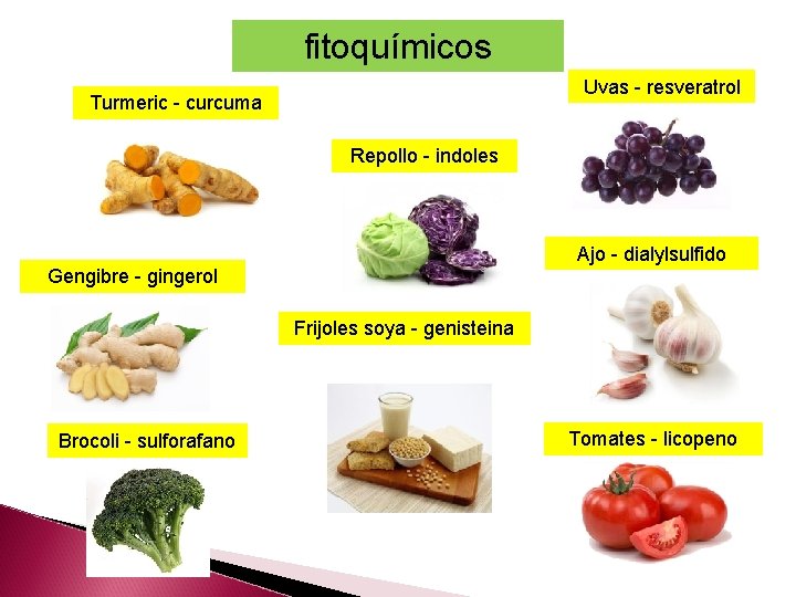 fitoquímicos Uvas - resveratrol Turmeric - curcuma Repollo - indoles Ajo - dialylsulfido Gengibre