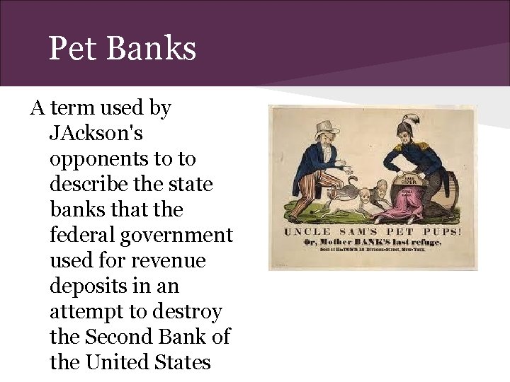 Pet Banks A term used by JAckson's opponents to to describe the state banks