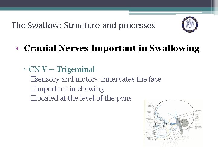 The Swallow: Structure and processes • Cranial Nerves Important in Swallowing ▫ CN V