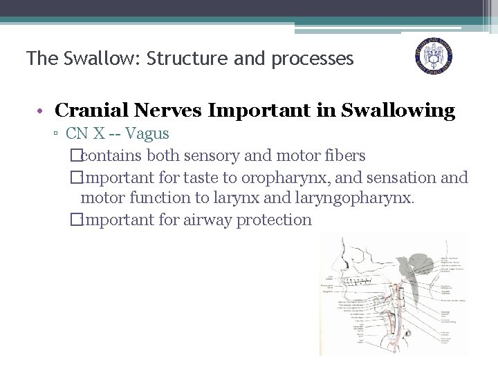 The Swallow: Structure and processes • Cranial Nerves Important in Swallowing ▫ CN X