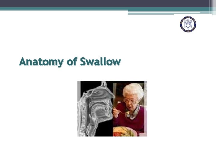 Anatomy of Swallow 
