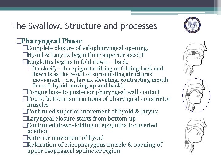 The Swallow: Structure and processes �Pharyngeal Phase �Complete closure of velopharyngeal opening. �Hyoid &