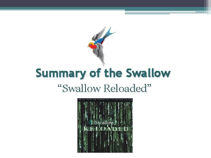 Summary of the Swallow “Swallow Reloaded” 