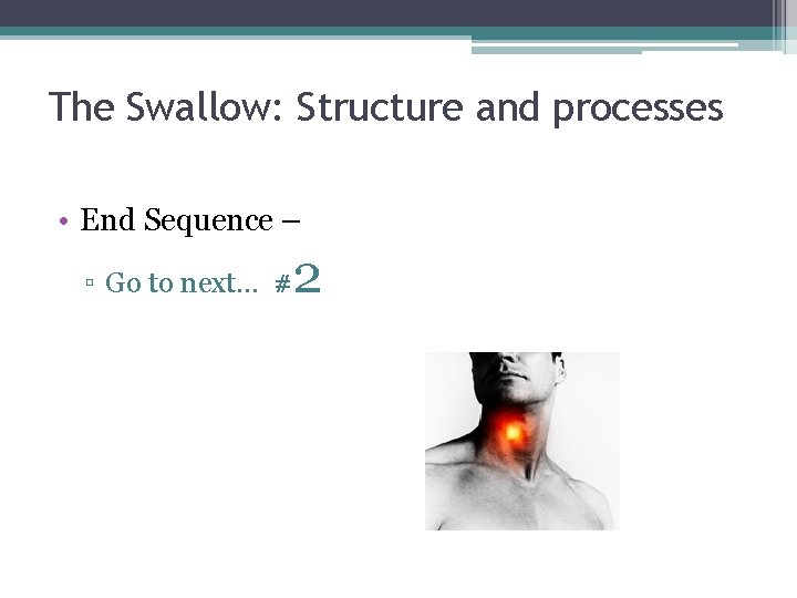 The Swallow: Structure and processes • End Sequence – ▫ Go to next… #