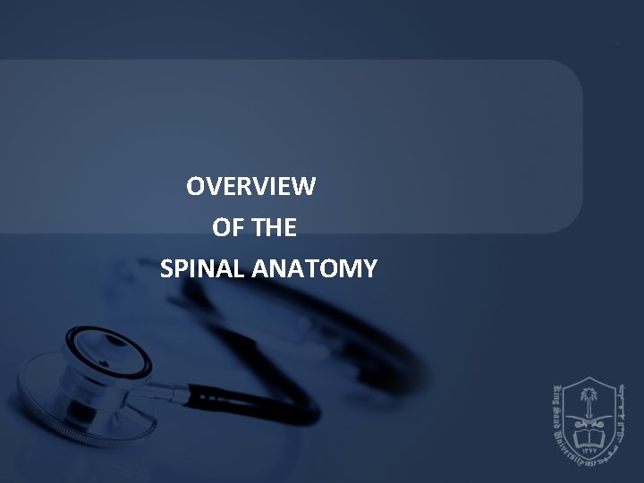 OVERVIEW OF THE SPINAL ANATOMY OVERVIEW OF THE SPINAL ANATOMY