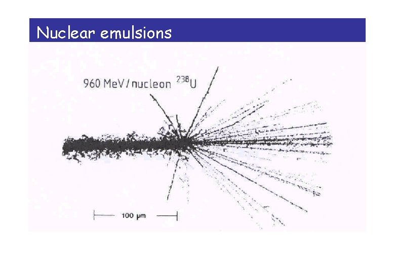 Nuclear emulsions 