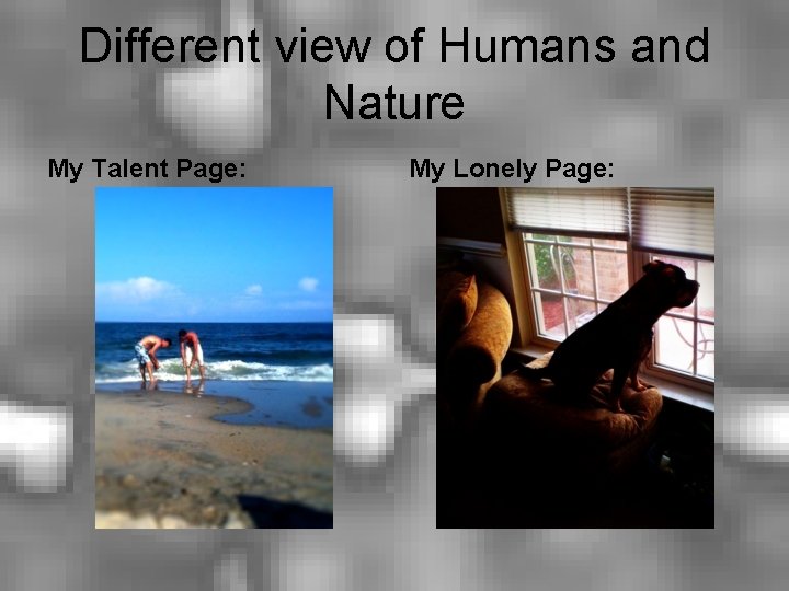 Different view of Humans and Nature My Talent Page: My Lonely Page: 