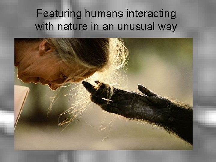 Featuring humans interacting with nature in an unusual way 